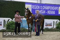 25R13_01085 thumbnail