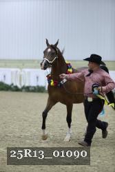 25R13_01090 thumbnail