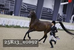 25R13_01092 thumbnail