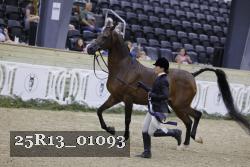 25R13_01093 thumbnail