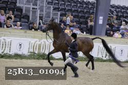25R13_01094 thumbnail