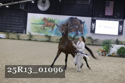 25R13_01096 thumbnail