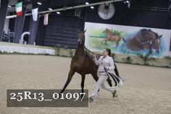 25R13_01097 thumbnail