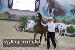 25R13_01098 thumbnail