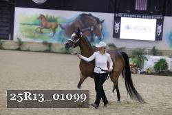 25R13_01099 thumbnail