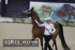 25R13_01100 thumbnail