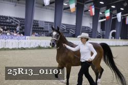 25R13_01101 thumbnail