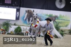 25R13_01102 thumbnail