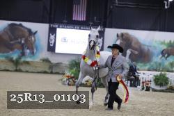 25R13_01103 thumbnail