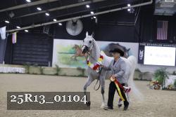 25R13_01104 thumbnail