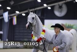 25R13_01105 thumbnail