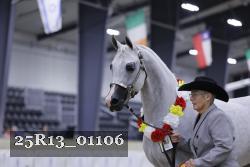 25R13_01106 thumbnail