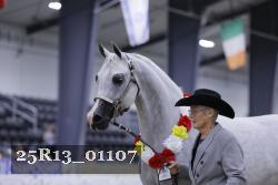 25R13_01107 thumbnail