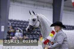 25R13_01108 thumbnail