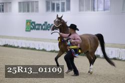 25R13_01109 thumbnail