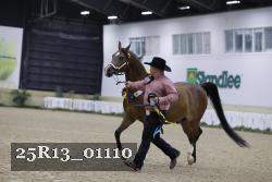 25R13_01110 thumbnail