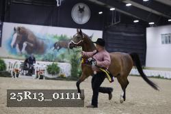 25R13_01111 thumbnail