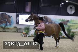 25R13_01112 thumbnail