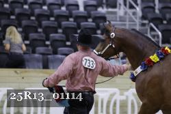 25R13_01114 thumbnail