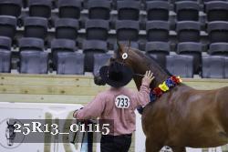25R13_01115 thumbnail
