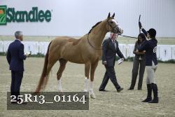 25R13_01164 thumbnail