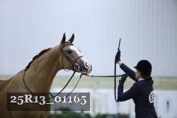 25R13_01165 thumbnail