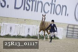 25R13_01117 thumbnail