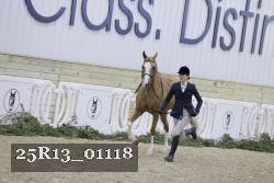 25R13_01118 thumbnail