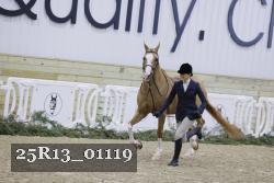 25R13_01119 thumbnail