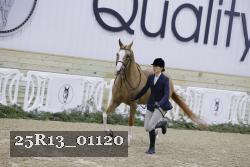 25R13_01120 thumbnail