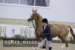 25R13_01122 thumbnail