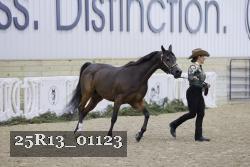 25R13_01123 thumbnail