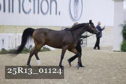 25R13_01124 thumbnail