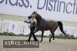 25R13_01125 thumbnail