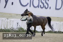 25R13_01126 thumbnail