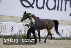 25R13_01127 thumbnail