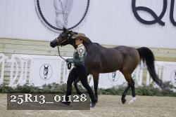 25R13_01128 thumbnail