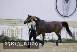 25R13_01129 thumbnail