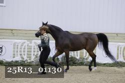 25R13_01130 thumbnail