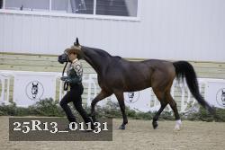 25R13_01131 thumbnail