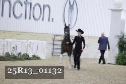 25R13_01132 thumbnail