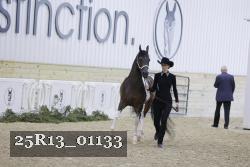 25R13_01133 thumbnail