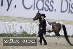 25R13_01134 thumbnail