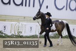 25R13_01135 thumbnail