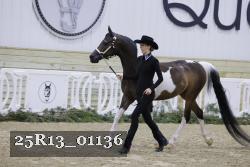 25R13_01136 thumbnail