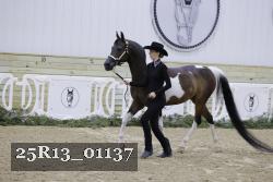 25R13_01137 thumbnail