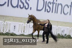 25R13_01139 thumbnail