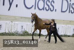 25R13_01140 thumbnail