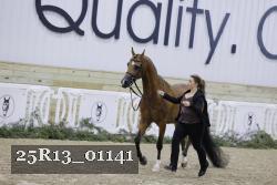 25R13_01141 thumbnail