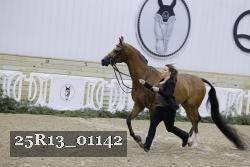 25R13_01142 thumbnail